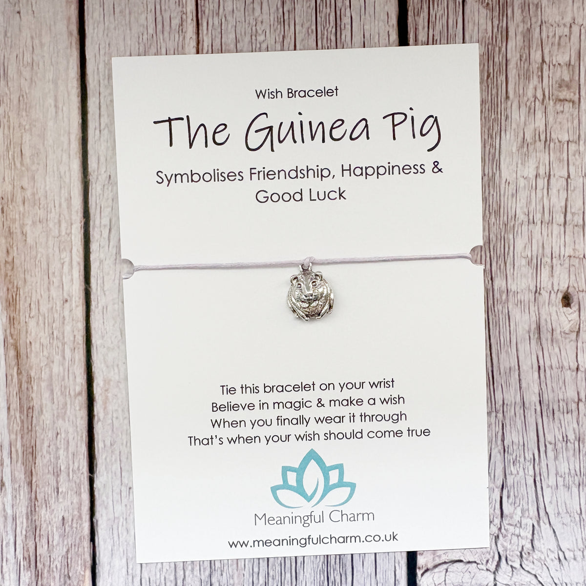 Spirit Animal Guinea Pig Wish Bracelet | Friendship Gift | Sacred Spirit